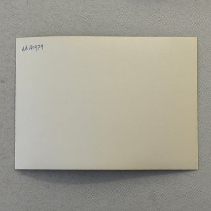 Porsche 924 and 924 Turbo Car Factory Press Photo Photograph Vintage