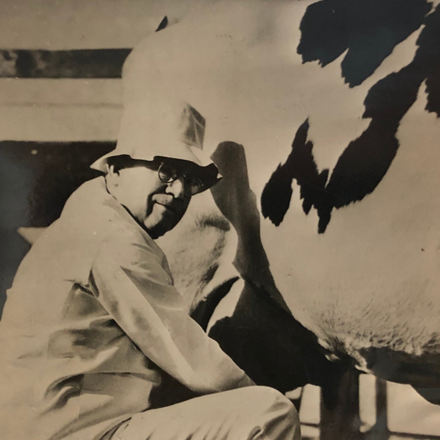 Press Photo Photograph Mayor of Oakland California Milking Cow Vintage