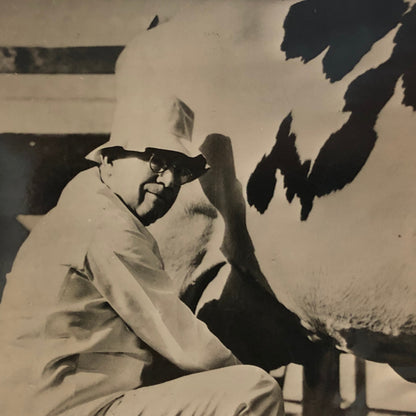 Press Photo Photograph Mayor of Oakland California Milking Cow Vintage
