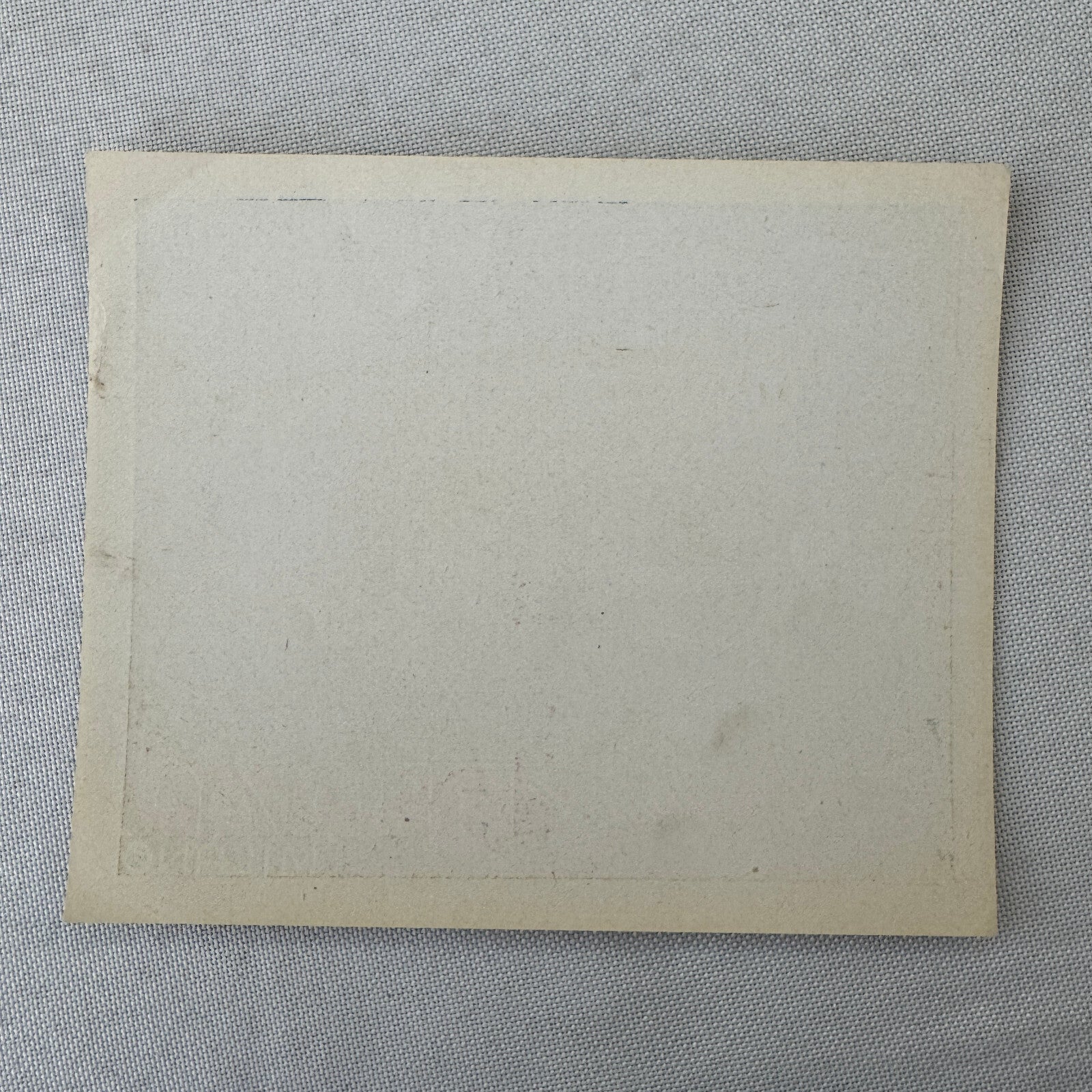 Vintage Hotel Travel Luggage Label Hotel Plaza Milano Milan Italy Italian