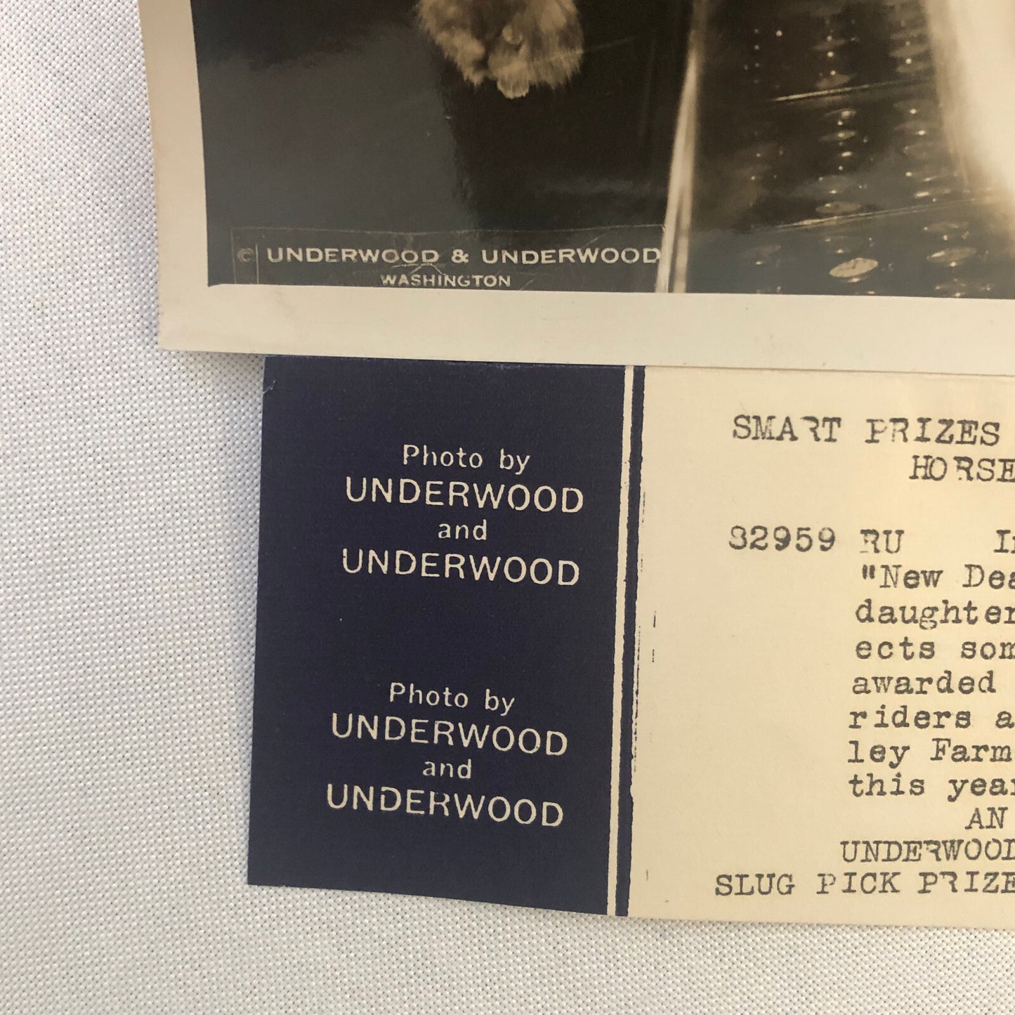 Press Photo Photograph Capital Society Horse Show Prize Selection 1933 Underwood