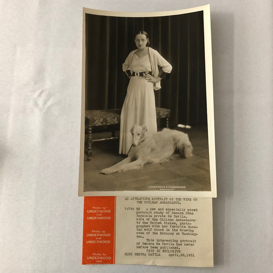 Vintage Press Photo Photograph Wife of Chilean Ambassador Washington Chile Dog