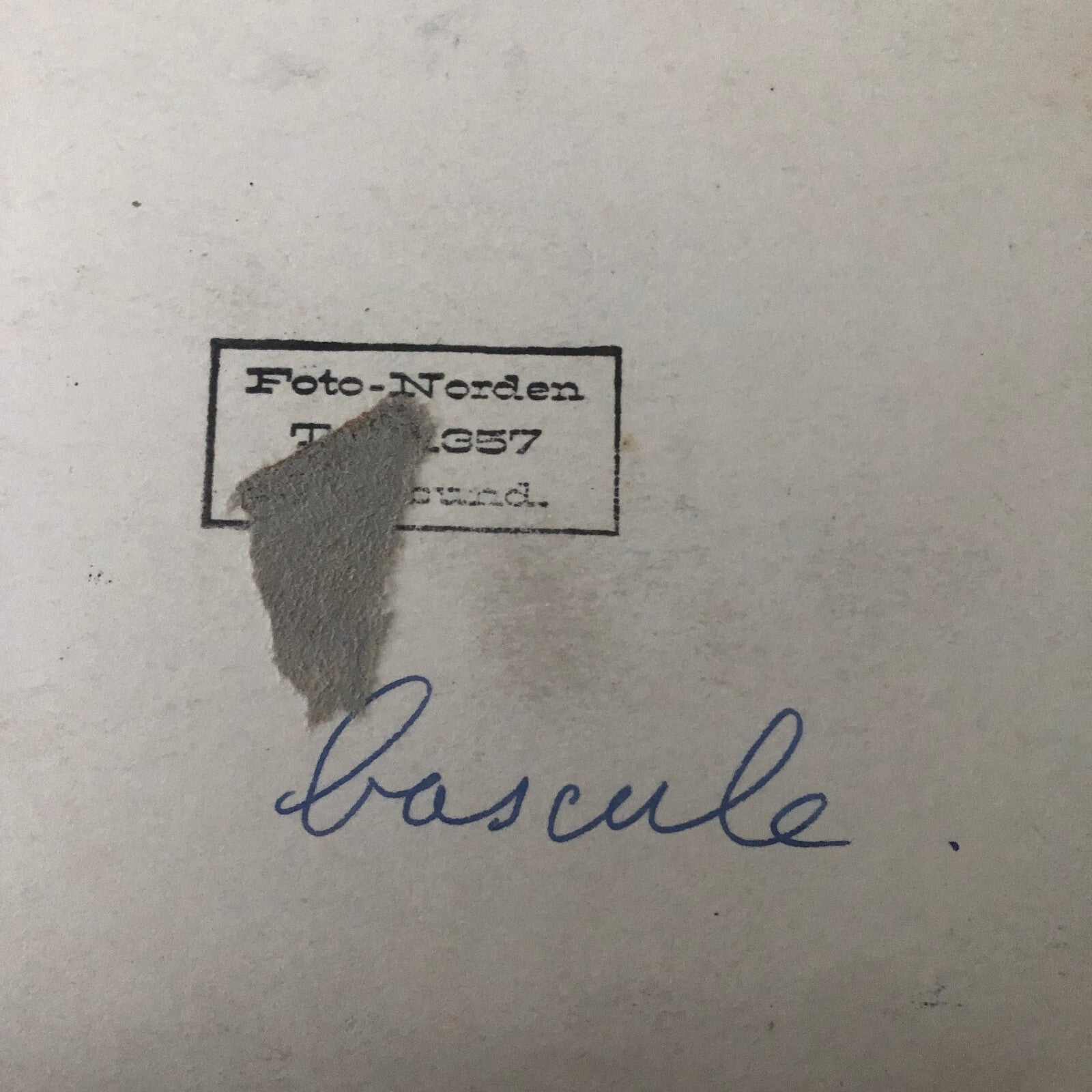 Circus Performer Acrobat Act Photo Photograph Vintage Roxi Troupe Acrobats