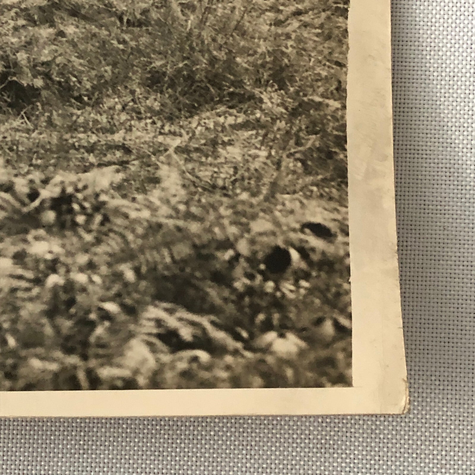 Military School 1932 Press Photo Photograph Eton vs Charterhouse UK Tanks