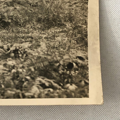 Military School 1932 Press Photo Photograph Eton vs Charterhouse UK Tanks