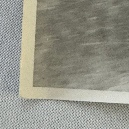 Jaguar XK140 Racing Photo Photograph Vintage Motorsport Jaguar XK 140 XK-140