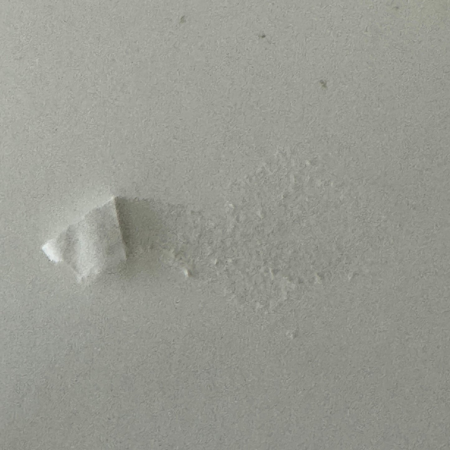 Vintage Car Racing Photo Jim Russell Racing Team Transporter Drivers Photograph