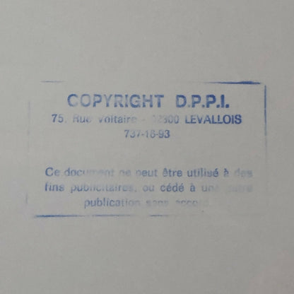 Vintage 1976 Formula 2 F2 Hockenheim Racing Photo Photograph Car #17