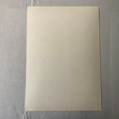 1981 Honda Formula 2 Racing Press Photo Photograph Mantorp Park Sweden 