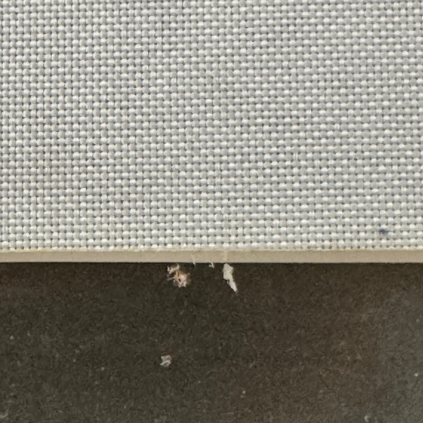 Vintage Circus Rollerskating Act Roller Skate Photo Photograph Print Les Rowlers