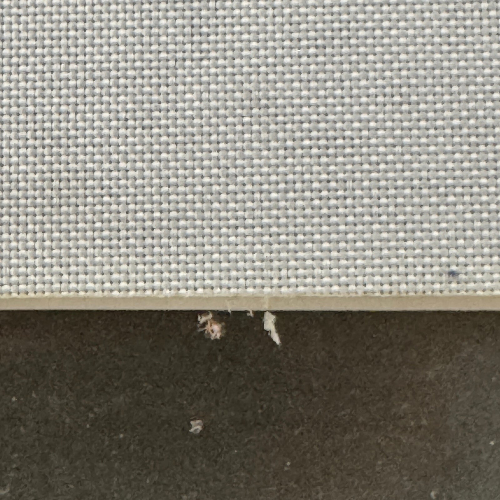 Vintage Circus Rollerskating Act Roller Skate Photo Photograph Print Les Rowlers