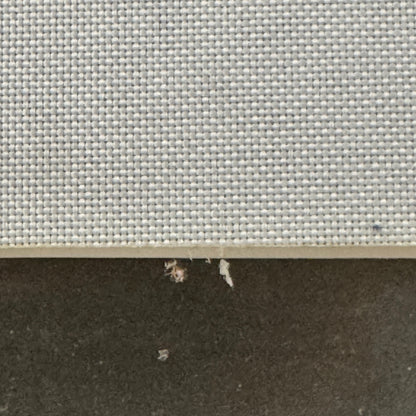 Vintage Circus Rollerskating Act Roller Skate Photo Photograph Print Les Rowlers