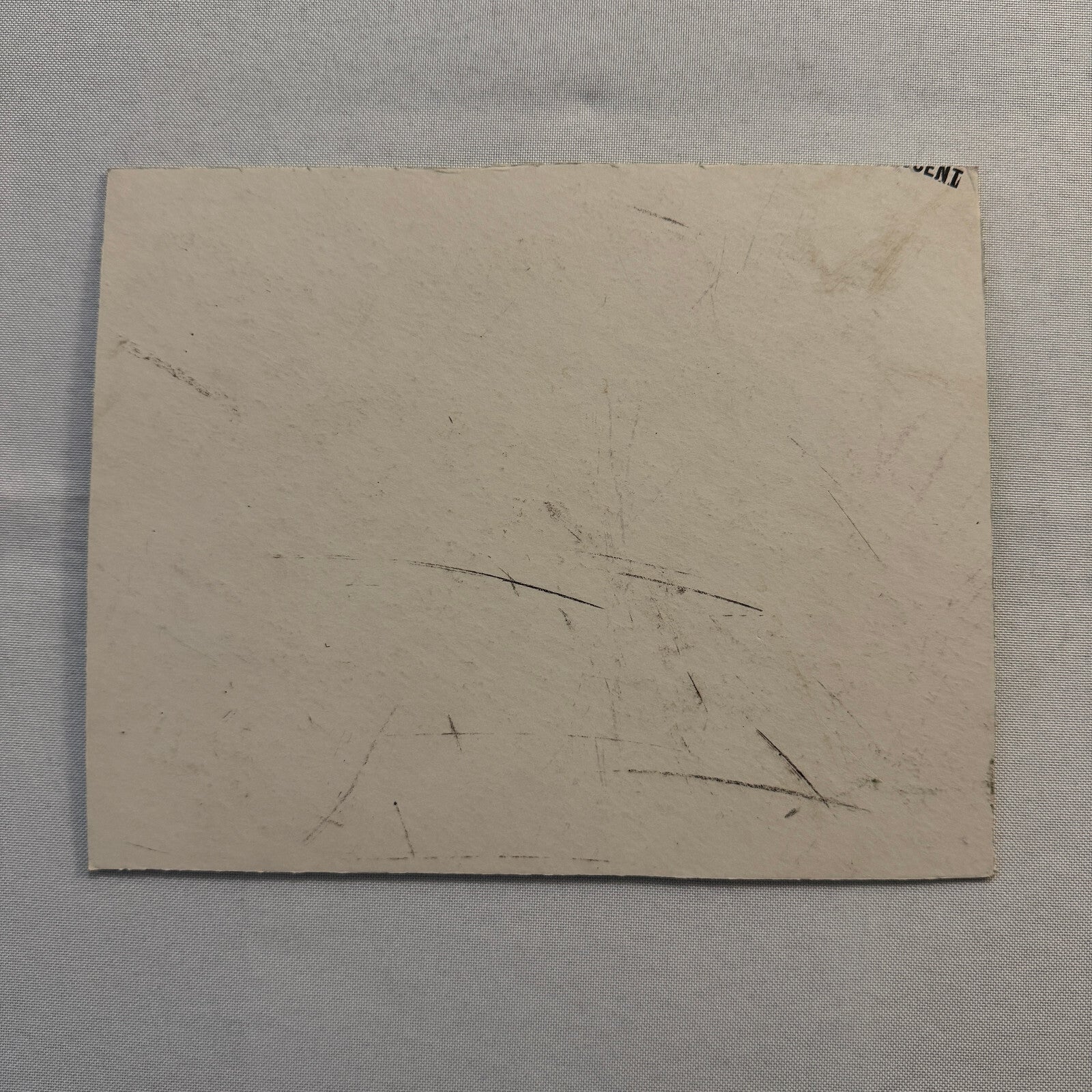 Sailing Boat Race Racing Regatta Sailor Photo Photograph Print