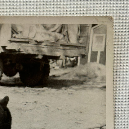 Vintage Photo Photograph Print Bear Cub with Truck