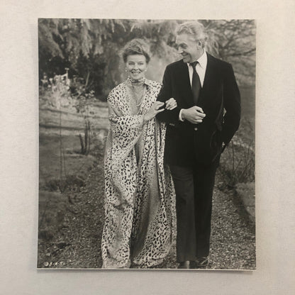 Katharine Hepburn Actress Photo Photograph Print Movie Still A Delicate Balance