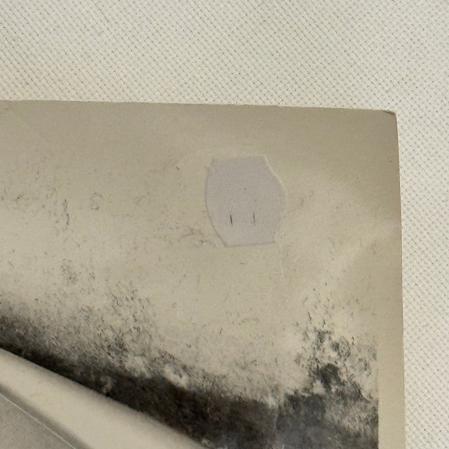 Vintage Cisitalia Car Photo Photograph Roadster Print