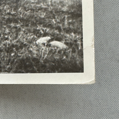 Vintage Car Racing Photo Circuit Mont Tremblant Quebec Photograph