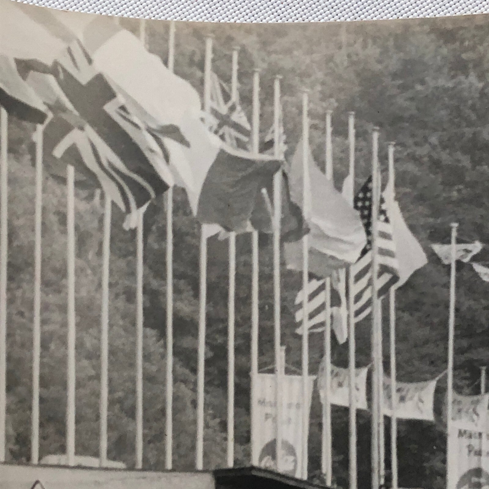 Vintage Solitude Grand Prix Racing Photo Photograph 1961 Borgward Sign