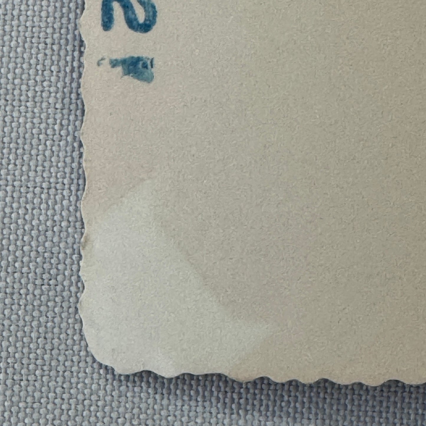 Vintage Dog Automobile Photo Photograph Print Snapshot Early Car