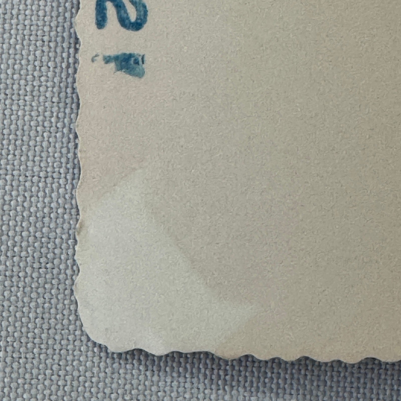 Vintage Dog Automobile Photo Photograph Print Snapshot Early Car