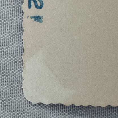 Vintage Dog Automobile Photo Photograph Print Snapshot Early Car