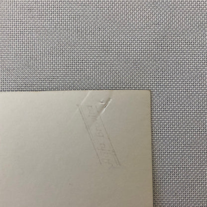 Circus Performer Bicycle Balancing Act 2 Heinkes Vintage Photo Photograph