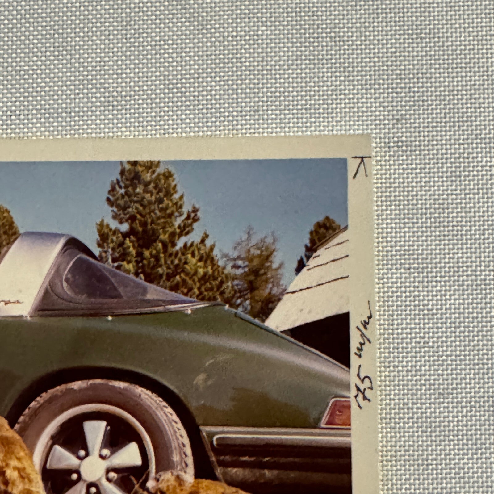 Vintage Photo Photograph Snapshot Porsche 911 Woman Animals