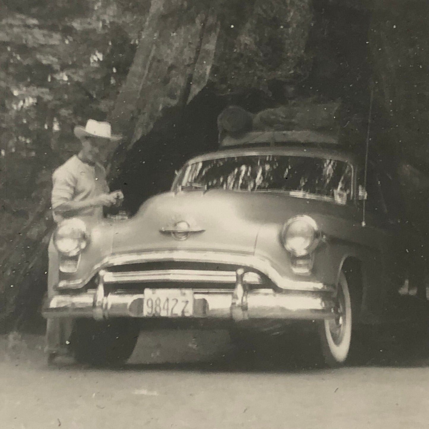 Vintage Oldsmobile Car Tunnel in Large Tree Photo Photograph Snapshot Print