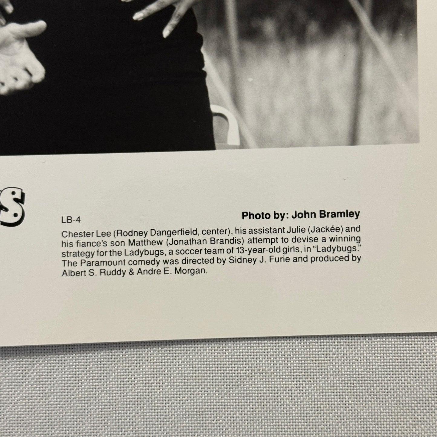 Rodney Dangerfield Ladybugs Movie Press Photo Publicity Photograph 1992