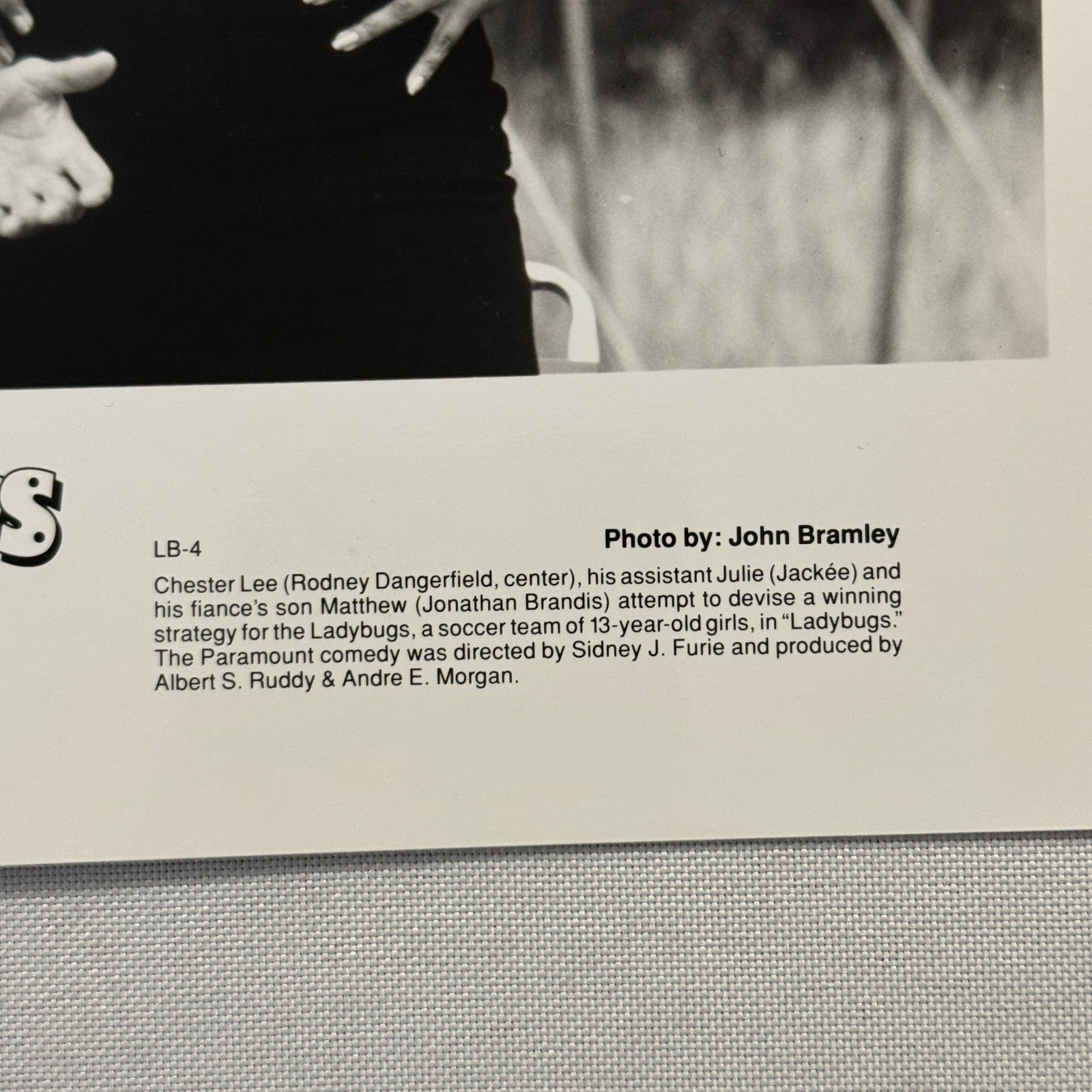 Rodney Dangerfield Ladybugs Movie Press Photo Publicity Photograph 1992