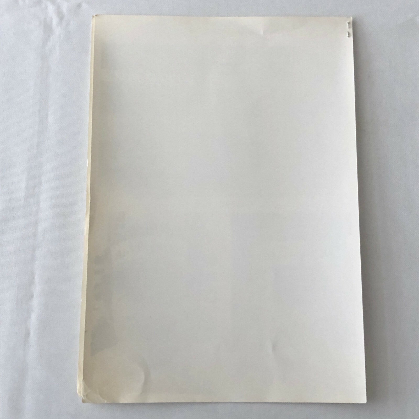 Vintage 1977 Martini Brabham Racing Alfa Romeo Car Press Photo Photograph Pace +