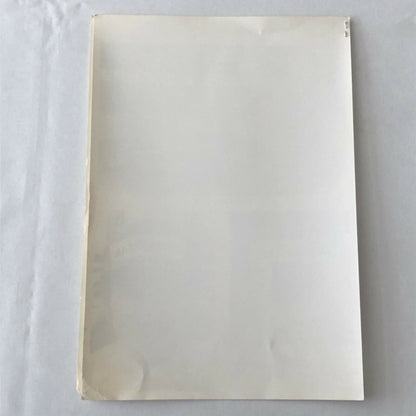 Vintage 1977 Martini Brabham Racing Alfa Romeo Car Press Photo Photograph Pace +