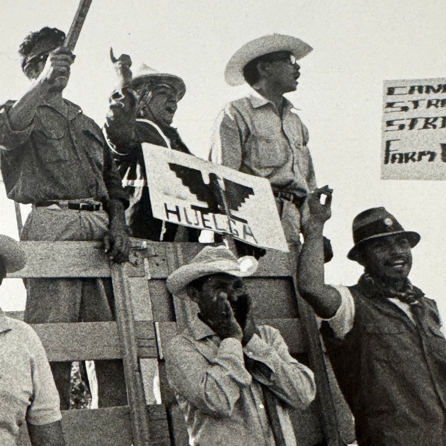 United Farmworkers Union Strike Labour Labor Canada Press Photo Photograph