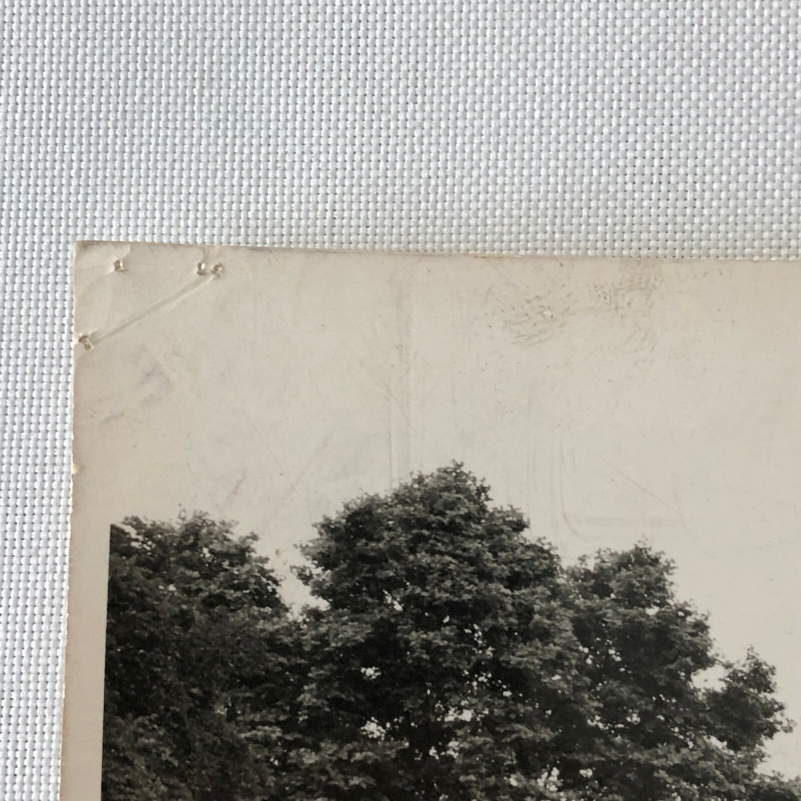 Vintage Coach Built Truck Fleet Photo Photograph Rowntree Austin Truck 