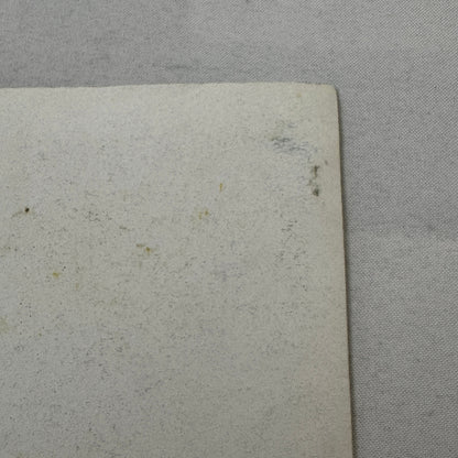 1996 Patrick Racing Press Kit Scott Pruitt IndyCar Vintage Brochure Photos