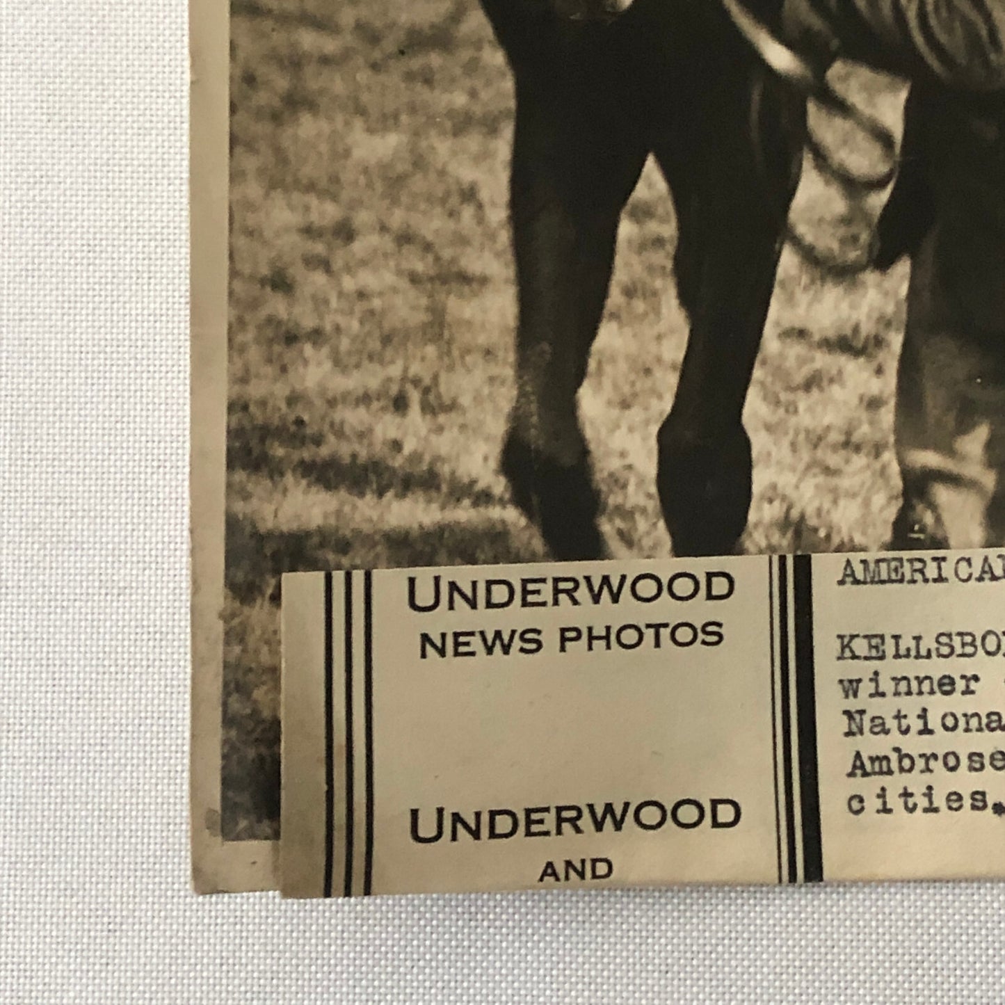 Press Photo Photograph Horse Racing Kellsboro Jack British Classic Underwood