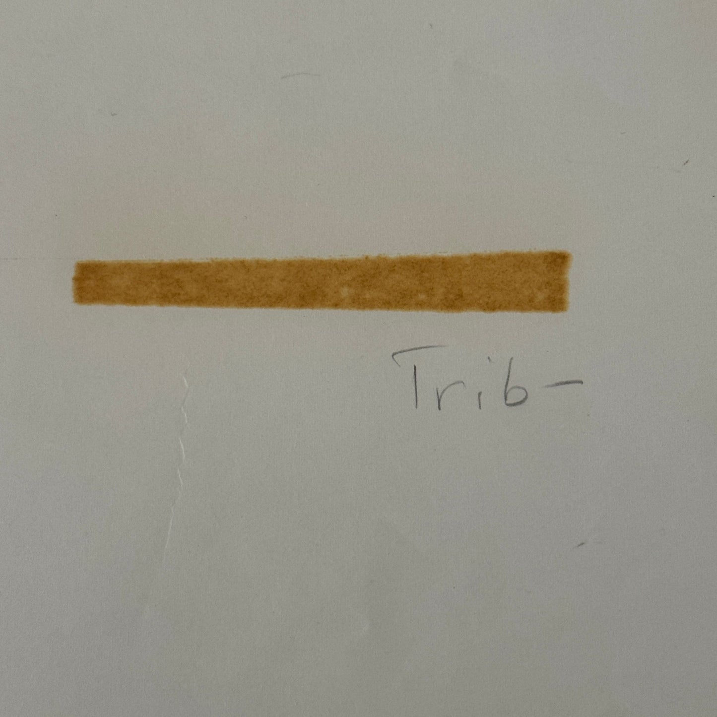 Vintage Drag Racing Photo Photograph Dragster Hot Rod Driver