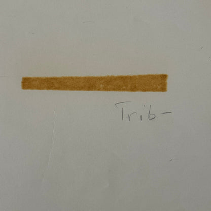 Vintage Drag Racing Photo Photograph Dragster Hot Rod Driver