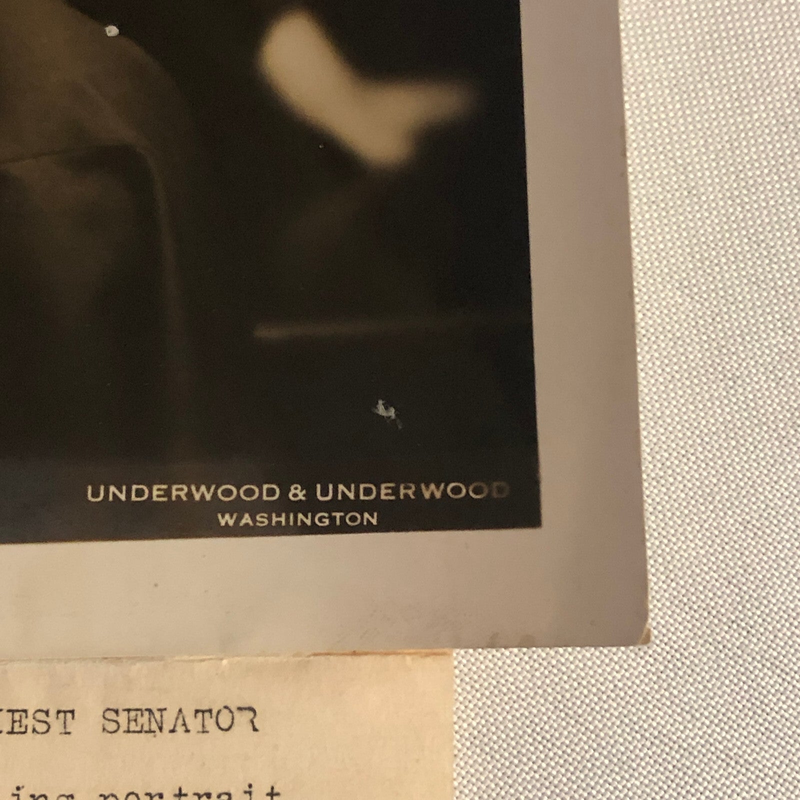 Press Photo Photograph Daughter of Senator James Couzens Margo 1933 Underwood
