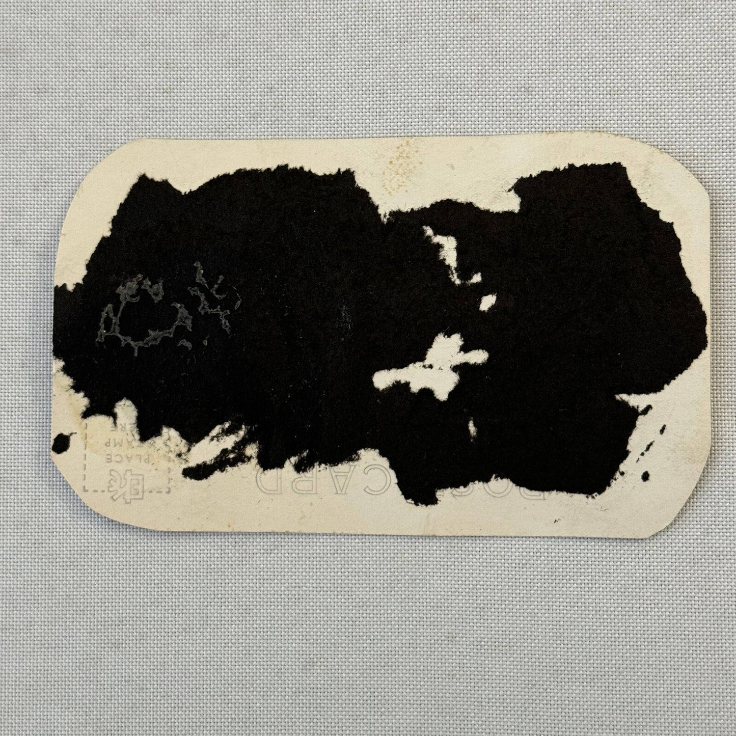 Vintage Train Postcard Clipping Daylight Streamline Train Southern Pacific