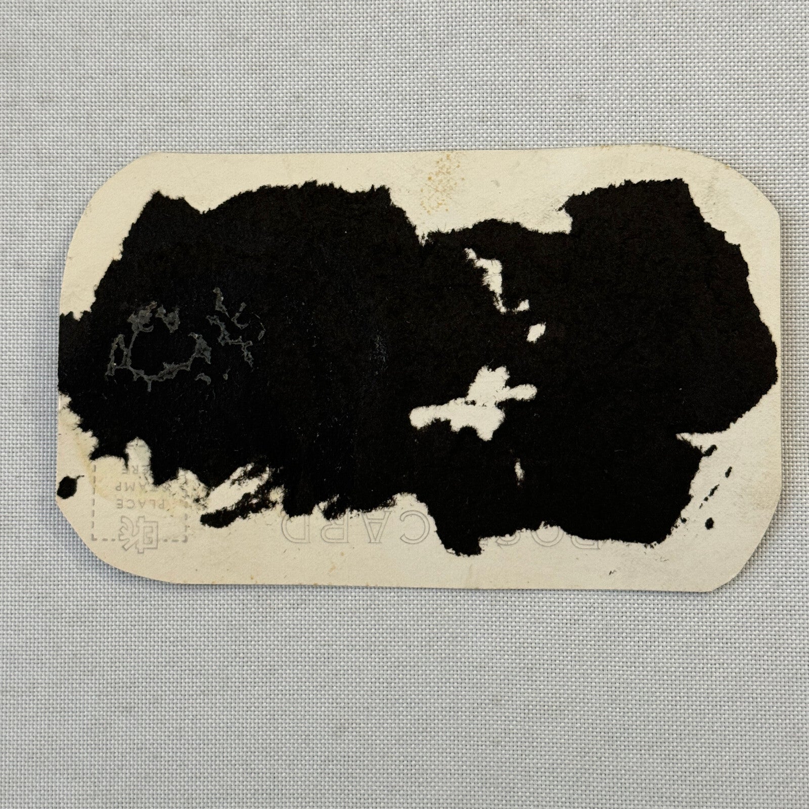 Vintage Train Postcard Clipping Daylight Streamline Train Southern Pacific