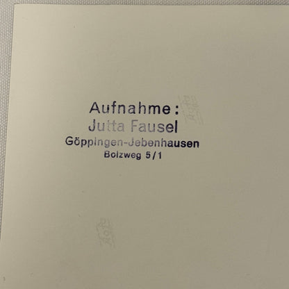 Vintage Racing Photo 1971 Hockenheim F2 Race Ronnie Peterson Driver Motorsport