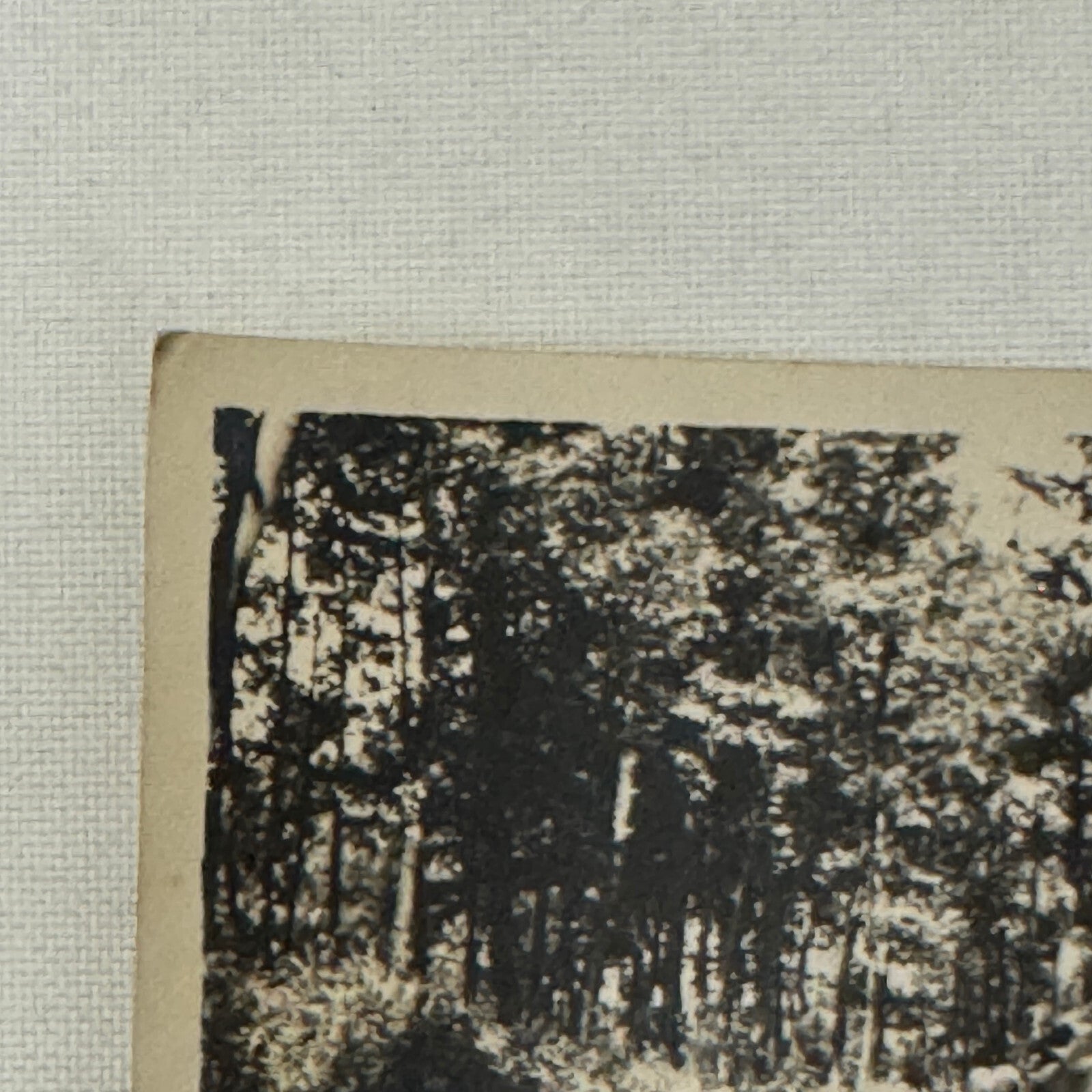 Vintage Photograph Photo Early Antique Car Automobile