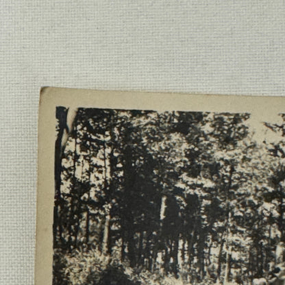 Vintage Photograph Photo Early Antique Car Automobile