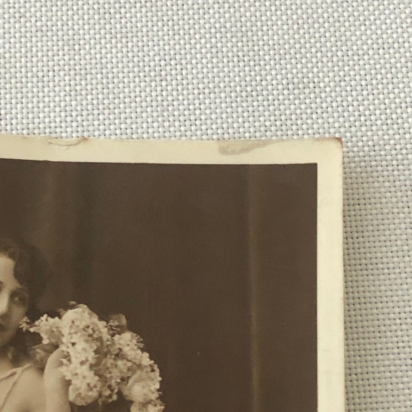 Circus Performer Trapeze Artist Acrobat Performer Miss Swift Photo Photograph