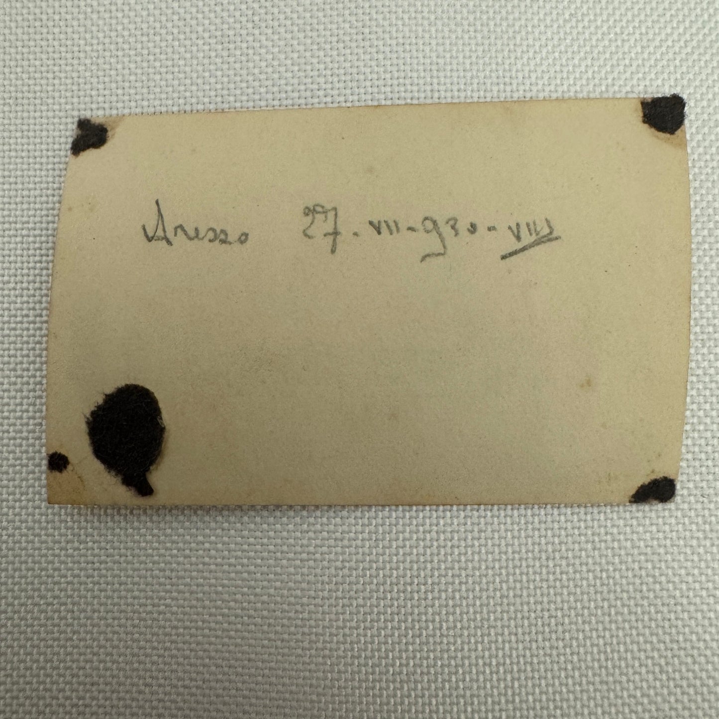 Vintage Racing Car Photo Photograph Early Automobile Motorsport