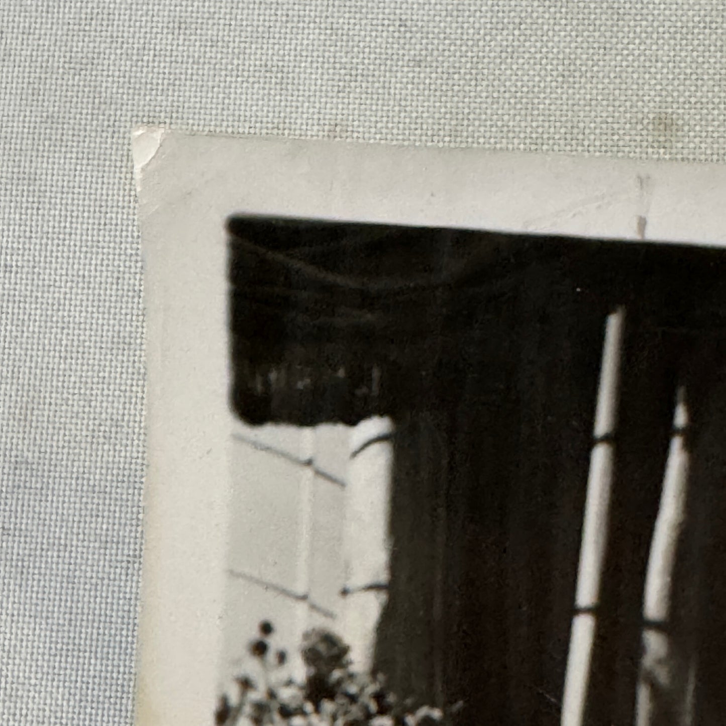 Vintage Movie Press Photo Photograph Three Musketeers Lana Turner Gene Kelly