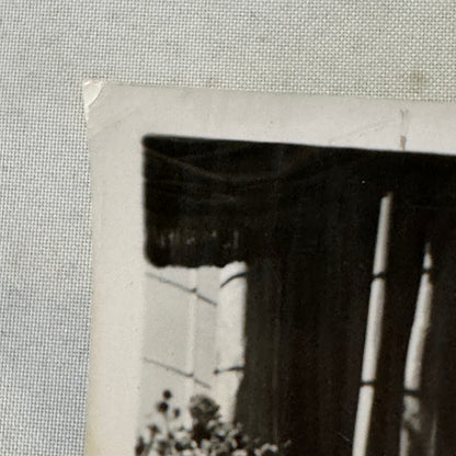 Vintage Movie Press Photo Photograph Three Musketeers Lana Turner Gene Kelly