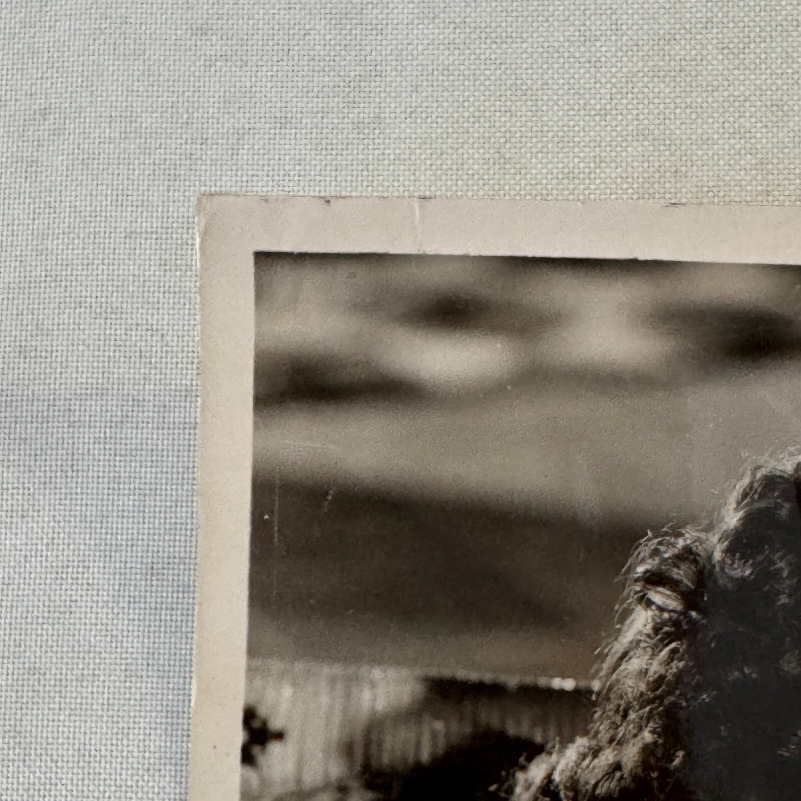 Vintage Movie Press Photo Photograph Another Dawn Film Errol Flynn Kay Francis