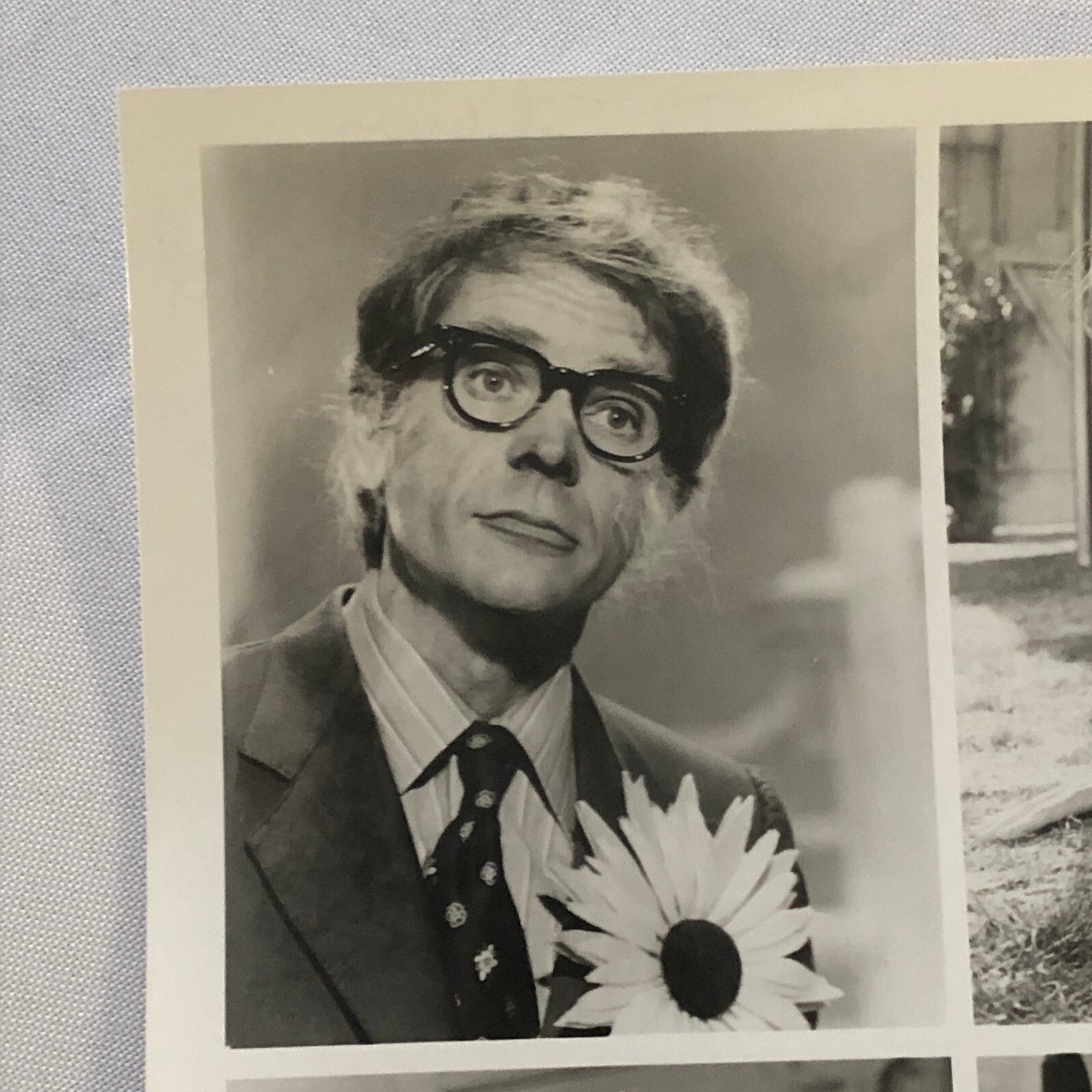 Walt Disney Channel The Shaggy D.A. Dog 1976 Press Photo Photograph Movie Film